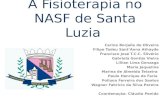 A Fisioterapia no NASF de Santa Luzia