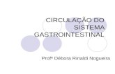CIRCULAÇÃO DO SISTEMA GASTROINTESTINAL