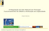 A Regulação do Gás Natural em Portugal Funcionamento do SNGN e Atribuição de Capacidade