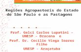 Regiões Agropastoris do Estado de São Paulo e as Pastagens