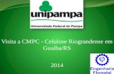 Visita a CMPC - Celulose  Riograndense  em Guaíba/RS