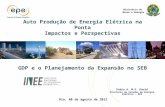Pedro A. M-S. David Diretoria de  Estudos de Energia Elétrica - EPE