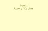 Squid Proxy/Cache