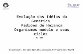 Evolução das Idéias da Genética  Padrões de Herança Organismos modelo e seus ciclos