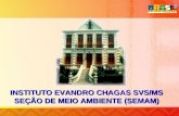 INSTITUTO EVANDRO CHAGAS SVS/MS SEÇÃO DE MEIO AMBIENTE (SEMAM)