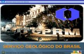 SERVIÇO  GEOLÓGICO  DO BRASIL