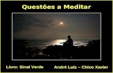 Questões a Meditar