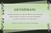 RE_0138_ Getsemani