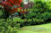 Encravada em meio aos Bosques de Viena, Baden é toda um imenso jardim...