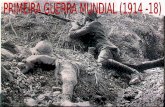 PRIMEIRA GUERRA MUNDIAL (1914 -18)