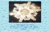 A MENSAGEM DA ÁGUA. Fotos de cristais de água  do livro escrito por Masaru Emoto.