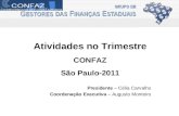 Atividades no Trimestre CONFAZ São Paulo-2011 Presidente –  Célia Carvalho