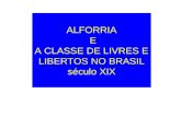 ALFORRIA  E A CLASSE DE LIVRES E LIBERTOS NO BRASIL século XIX
