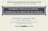 FLORESTA NATIVA E PLANTADA - TENDÊNCIAS DO MERCADO DE MADEIRA