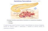 Hormônios Pancreáticos