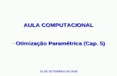 AULA COMPUTACIONAL  Otimização Paramétrica (Cap. 5)