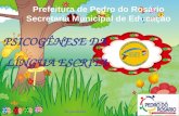 Prefeitura de Pedro do Rosário Secretaria Municipal de Educação