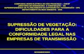 SUPRESSÃO DE VEGETAÇÃO: DIFICULDADES PARA A CONFORMIDADE LEGAL NAS EMPRESAS DE TRANSMISSÃO