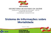 SECRETARIA DE ESTADO DA SAÚDE Gerência de Tecnologia da Informação – GETIN Divisão de Informações