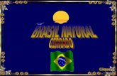 BRASIL NATURAL