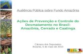 Audiência Pública sobre Fundo Amazônia Ações de Prevenção e Controle do Desmatamento no Brasil: