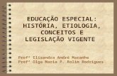 EDUCAÇÃO ESPECIAL: HISTÓRIA, ETIOLOGIA, CONCEITOS E LEGISLAÇÃO VIGENTE