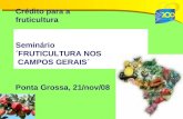 Crédito para a fruticultura Seminário ´FRUTICULTURA NOS  CAMPOS GERAIS´ Ponta Grossa, 21/nov/08