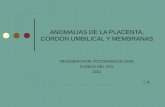 ANOMALIAS DE LA PLACENTA, CORDON UMBILICAL Y MEMBRANAS