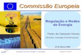 Regulação e Redes de Energia Pedro de Sampaio Nunes Director: Energia Convencional