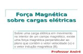 Força Magnética sobre cargas elétricas