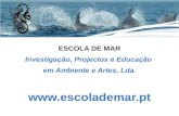 ESCOLA DE MAR Investigação , Projectos e Educação  em Ambiente e Artes, Lda. escolademar.pt