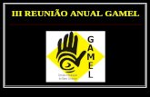 III REUNIÃO ANUAL GAMEL