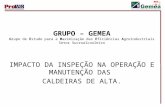 IMPACTO DA INSPEÇÃO NA OPERAÇÃO E MANUTENÇÃO DAS  CALDEIRAS DE ALTA.