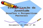 Evangelização da Juventude Desafios e Perspectivas Pastorais