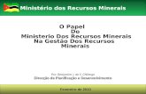 O  Papel Do Ministerio  Dos  Recursos Minerais Na  Gestão  Dos  Recursos Minerais