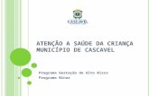 Atenção a saúde da criança município de cascavel