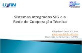 Sistemas Integrados  SIG e a  Rede  de Cooperação  Técnica