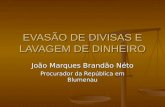 EVASÃO DE DIVISAS E LAVAGEM DE DINHEIRO