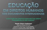 Paulo César Carbonari Mestre em Filosofia (UFG-GO) Coordenador Nacional de Formação (MNDH)