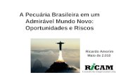A Pecuária Brasileira em um Admirável Mundo Novo: Oportunidades e Riscos