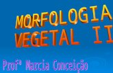 MORFOLOGIA VEGETAL II