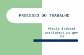 PROCESSO DO TRABALHO