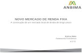 NOVO MERCADO DE RENDA  FIXA A  construção de um mercado local de dívida de longo prazo