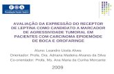 Aluno: Leandro Ucela Alves Orientador: Profa. Dra. Adriana Madeira Alvares da Silva