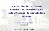 A experiência do Comitê Estadual de Pernambuco no enfrentamento da mortalidade materna