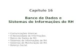 Capítulo 16 Banco de Dados e  Sistemas de Informações de RH
