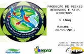 . PRODUÇÃO DE PEIXES REDONDOS E SEUS HIBRÍDOS  V ENAq Manaus , 28/11/2013 GERALDO  BERNARDINO
