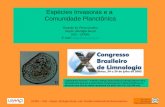 Espécies Invasoras e a  Comunidade Planctônica Ricardo M. Pinto-Coelho Depto. Biologia Geral