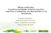 Mesa redonda:  A potencialidade leiteira bovina, caprina e bubalina no Maranhão e no Nordeste