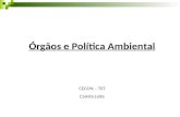 Órgãos e Política Ambiental CECON – TST Camila Leite